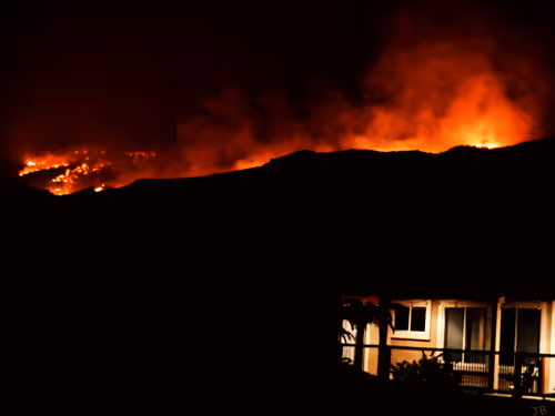 Miscellaneous photos from Jungleboy