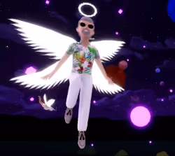 fly