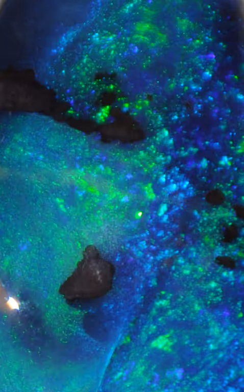 Item #21177589988234382907292029725280025606269119538694693414219510844301420527617 Media