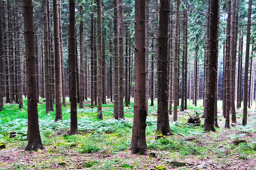 Item #92971587401879212914465603849674525645265351012255145539777938607004209643521 Media