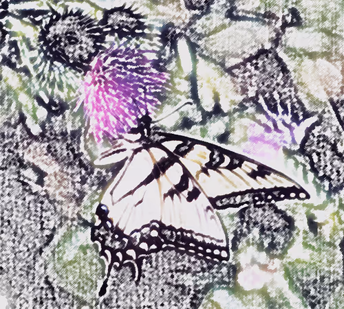 Item #10162537437224382031479019658551907585229278444242708151782220020835650895873 Media