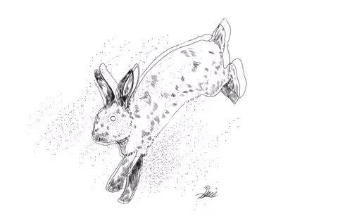 Item #92158263597774240696216460842119287499032570896628831031377871231082829971457 Media