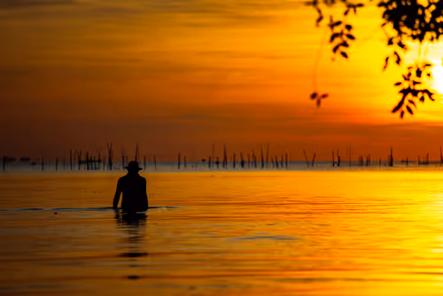 Item #105679162715773690367894814568251153202929894369313826483118647869679276654597 Media