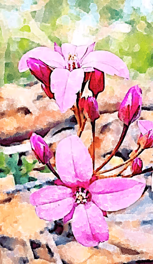 Item #23586274718377853504826207668531862457816485670593798671801516781356902776834 Media