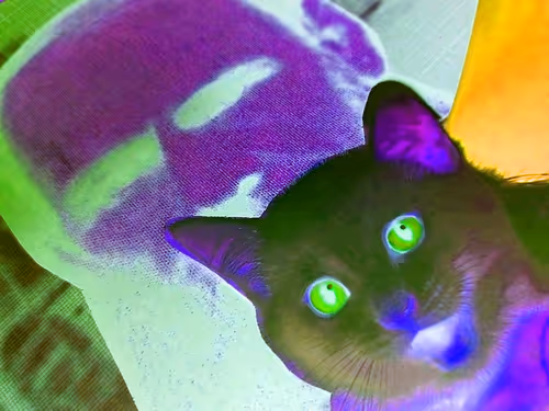 Item #4747115153065902387790593868107453782499677024781155622119189998298009174017 Media