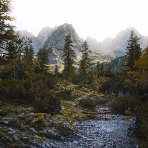 ALPS