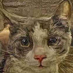 cat#4080