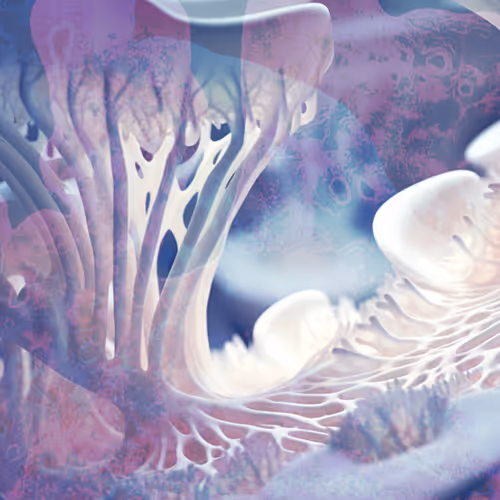 Dreamscape M16