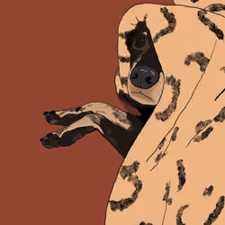 Bosco Under Cover #5