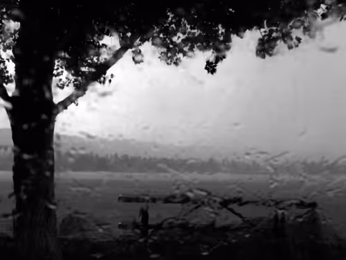 Item #34419557654745239664561952341070436504868109465490192834981352982966207250433 Media