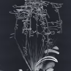 47054235586603430416428902981281289303545291861625266648489421807392925941761