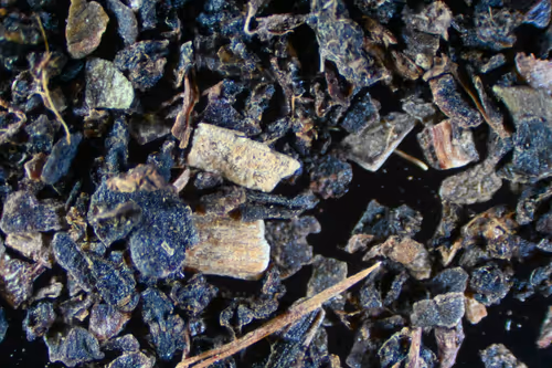 Item #83492542219966292281678492459995273614130213244614101144777663991635008028673 Media