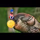 95244940339513320199862715608852117206742312941825269634371129050796390350849