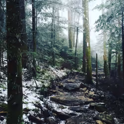 wonderland 