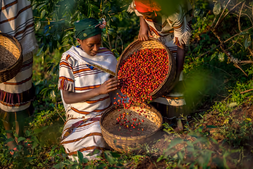 Item #50027882237522295676960542276708360859068113986169674979910833939390562041857 Media