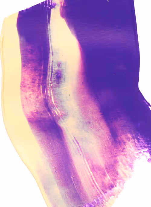 Item #20526999620302922840044707466191385135131666513838081449283783889860880760833 Media