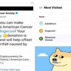 DOGE IS GOOD