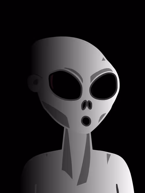 Item #33140874281855114289346760217557853970320086578126328431083277364924721922049 Media