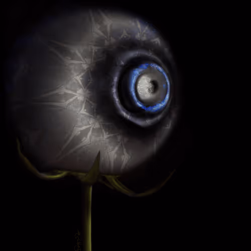 Gratitude from Seeking_Sonja