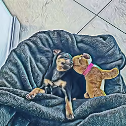 Best Crypto Friends