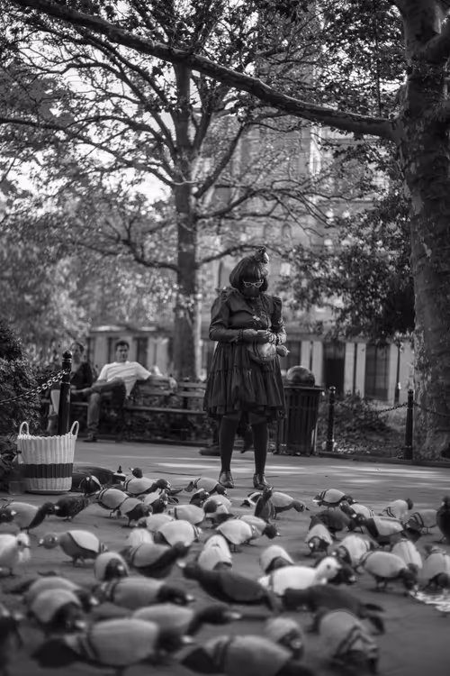 Item #20227266665588933887433646525944193582214398073362210482920990799661400850433 Media