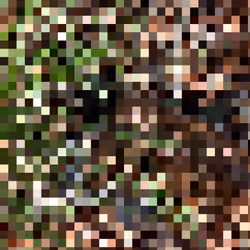 2850415134272365380187775685678842410458265265709128331682257674501049286657