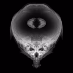 Alien Embryo - 266 of 2000