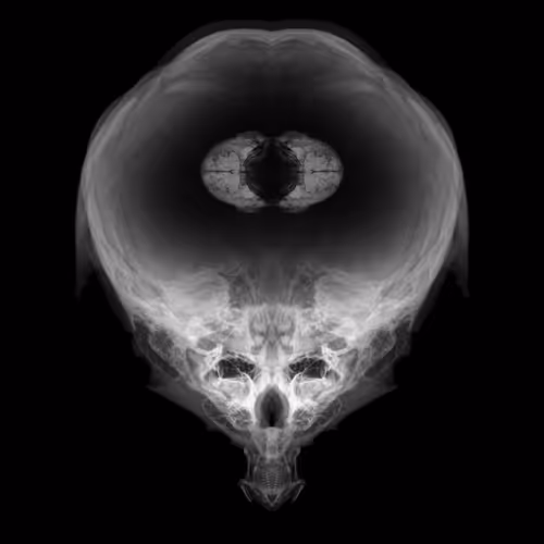 Item #85859191866638808365331437874953228966785819470149775310971061774976645332993 Media