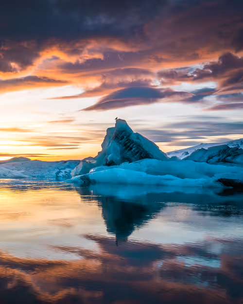 Item #71348397378810690825618428912408306798479722983811327082816877917006773354497 Media