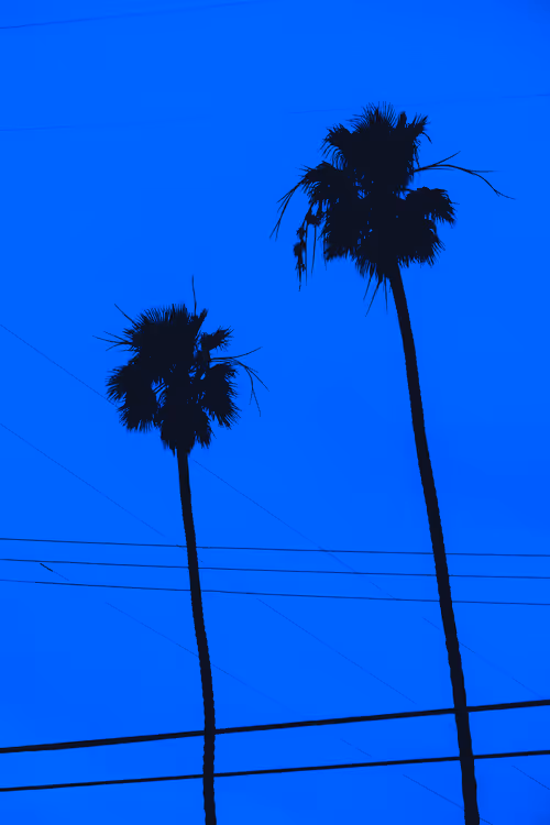 Item #35557780727049604459658880725917592814256363748111026780455796865156243259393 Media