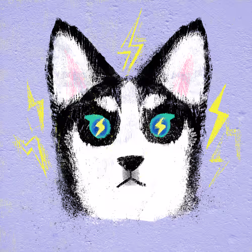 Item #85958577837238121956904946146282691386583578196809181446220191442606550417409 Media