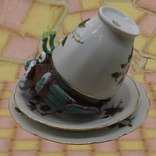 Item #37113653754372742933475835564805554652787707264586744390258632030178108243969 Media