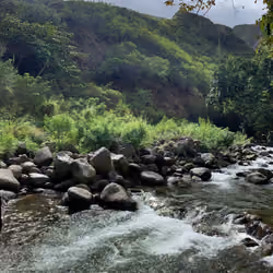 Slice of Hawaii - 1 (Iao River)