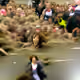 21558014047434924744782354151757530802982014037899659766908994029269947514881