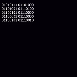 OnChainBinary #11