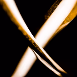 X Marks the Spot.