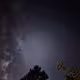 NightSky in NY