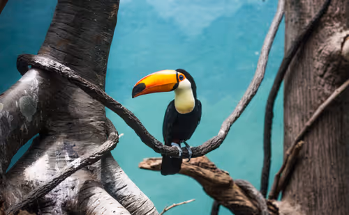 Item #95979719435638396747386199908027492606241793835179361379046606511506014076929 Media