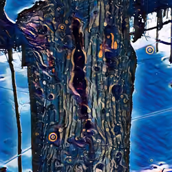Trippy Tree Series #4