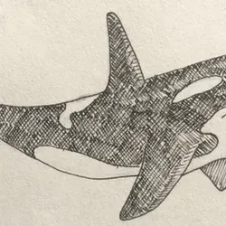 Swimming Whale gif