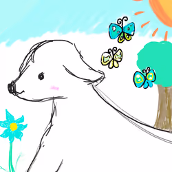 Sunny day dog