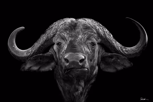 Item #47283985541212383622854558210808403348987153639126174698538946839025956159489 Media