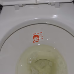 A GREAT SPOT TO AIM