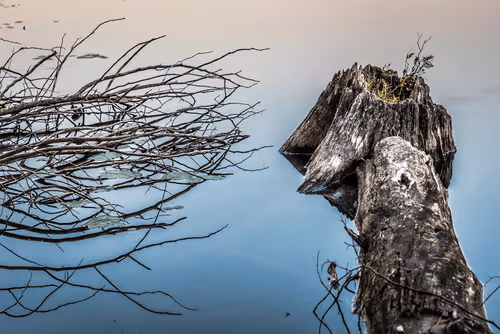 Item #78614967916850878758896281278088562819031429561597845143063368059682339946497 Media