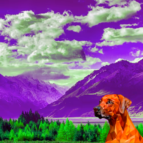 Item #17334254584631484090892446305314287509817677893637242003114277446757478564839 Media