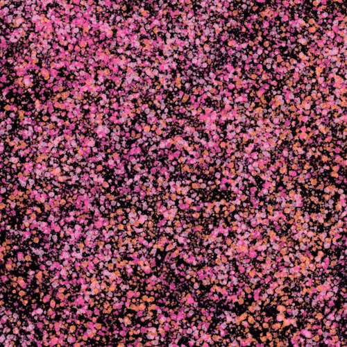 944858660688572096584618472555991747686703840338442188877309618152687009793