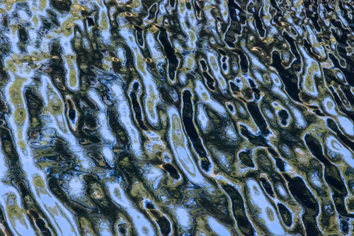 Item #81441334517361708208394031135700195474624799851237506988747108164609318584321 Media