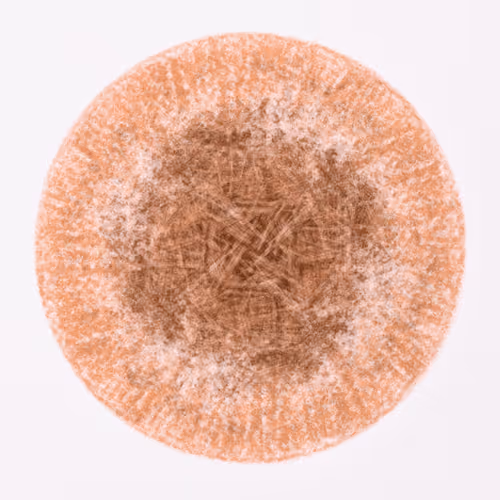 Item #56973419019861600765457047389383188289079904378367063993006434918248866643969 Media