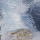 65362467733712317486546228412958553268417607160040521005142228191736527585281