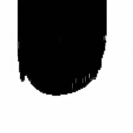 Item #44308759172766525213647848090733166968336206561675547379996411655363193995265 Media